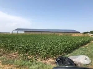 Hangar agricole toiture solaire